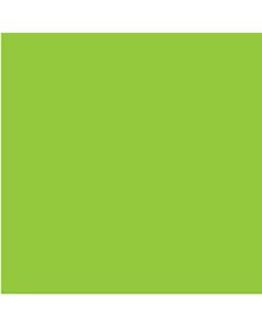 COLOURFUL DAYS FLOURO BOARD 250GSM PROJECT SIZE 510 X 640MM GREEN