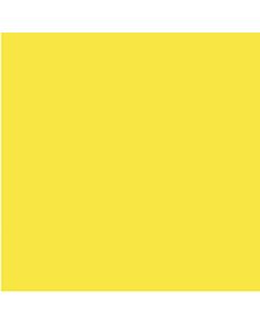 COLOURFUL DAYS COLOURBOARD 200GSM PROJECT SIZE 510 X 640MM LEMON