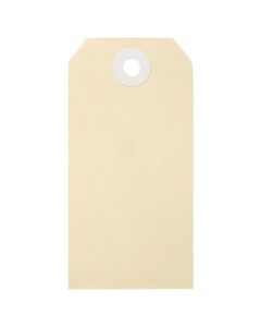 ESSELTE SHIPPING TAGS NO.3 48X96MM BUFF