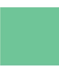 COLOURFUL DAYS COLOURBOARD 200GSM PROJECT SIZE 510 X 640MM GREEN