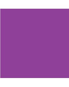 COLOURFUL DAYS COLOURBOARD 200GSM PROJECT SIZE 510 X 640MM LILAC