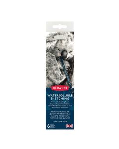 DERWENT WATERSOLUBLE SKETCHING PENCIL TIN 6