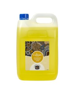 CULTURAL CHOICE  LEMON DETERGENT 5L