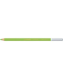 STABILO CARBOTHELLO PASTEL PENCIL LEAF GREEN MID