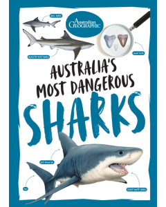 Australia's Most Dangerous Sharks : Australian Geographic