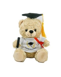 Soft Plush Graduation Teddy Bear & Signature Pen, 20cm