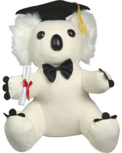 Graduation Koala & Signature Pen 25cm