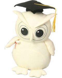 Message Owl & Signature Pen 24cm