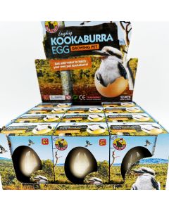Kookaburra Growing Egg CDU of 12
