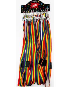 Rainbow Lanyards Display of 12