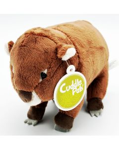 Cuddle Buddies Wombat 19cm Pack of 6