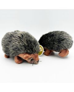 Cuddle Buddies Echidna 16cm Pack of 6